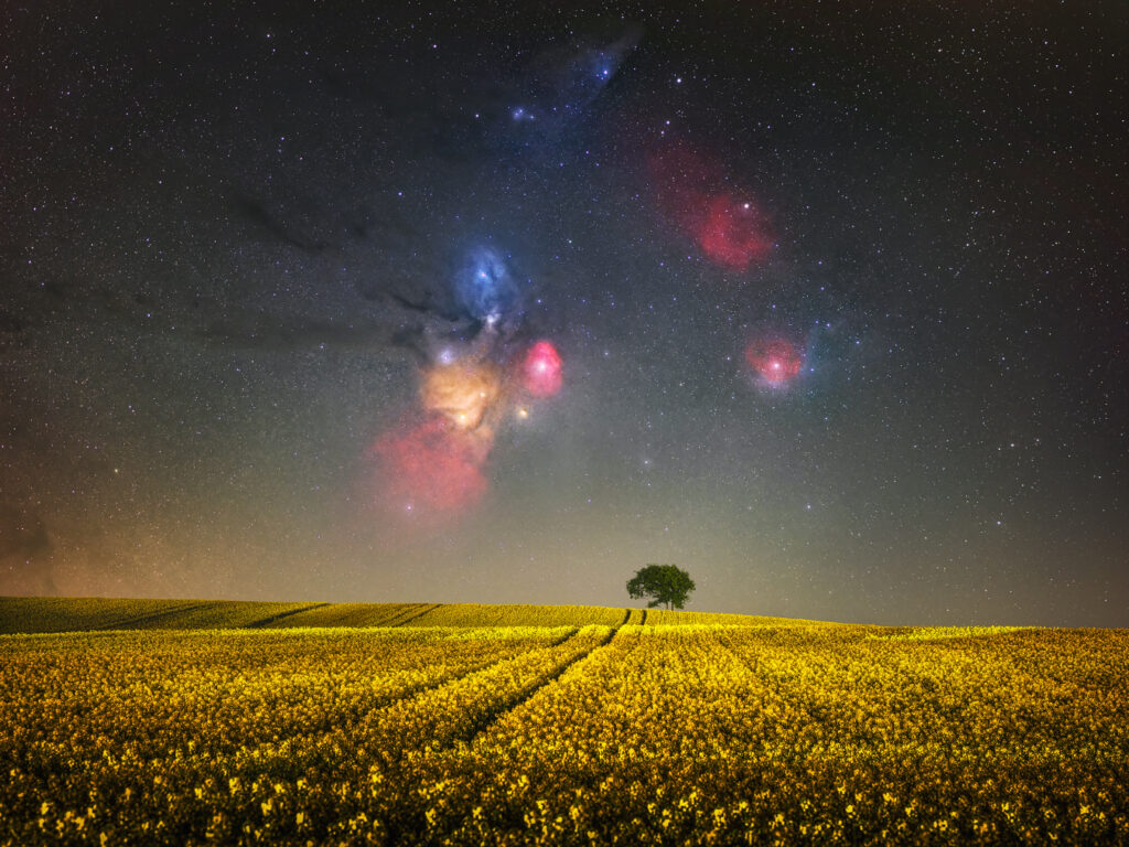 Spring Dreams