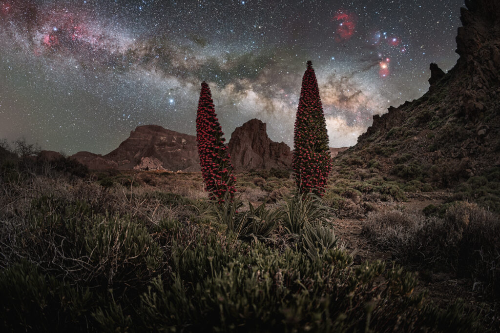 Pointy Things